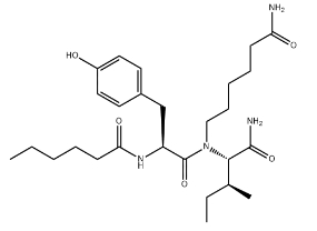 Dihexa 1401708-83-5